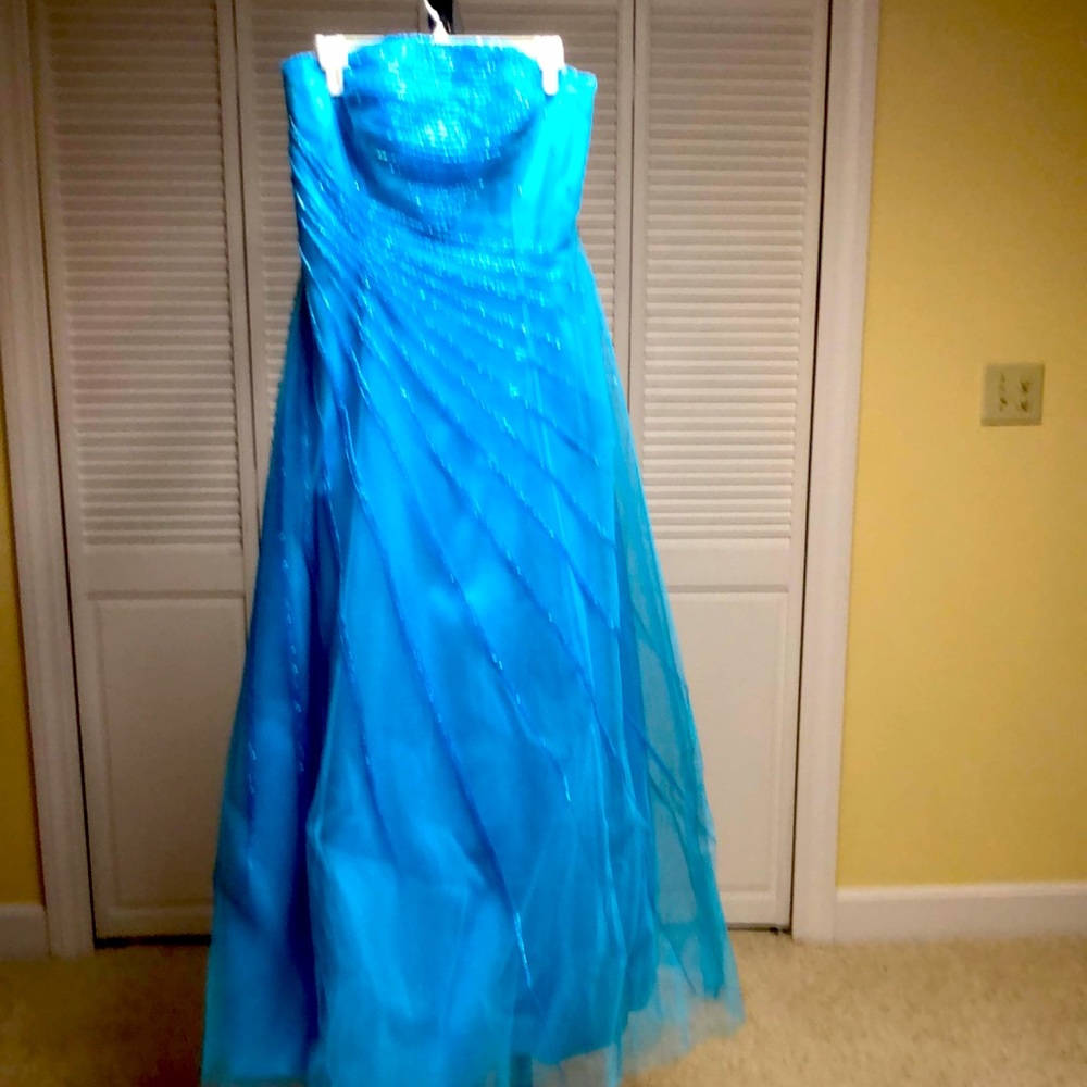 Gorgeous beadwork in blue.